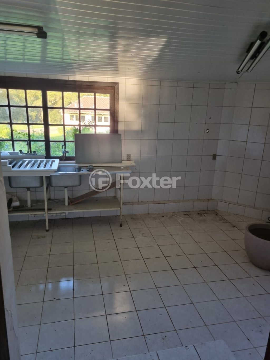 sitio chachara fazenda para comprar em Quatro de maio, 888 - foto 13