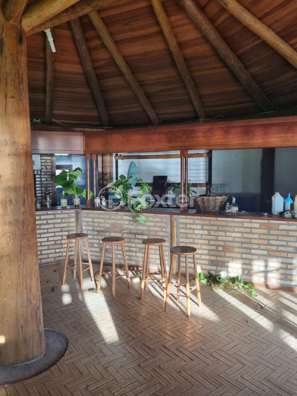 sitio chachara fazenda para comprar em Quatro de maio, 888 - foto 35