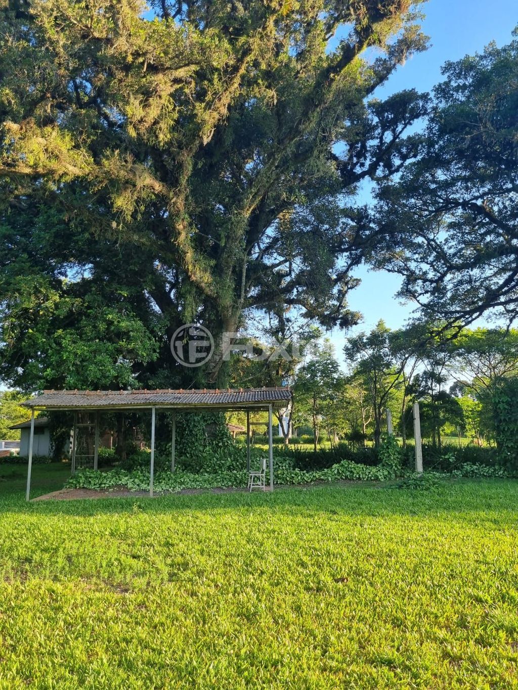 sitio chachara fazenda para comprar em Quatro de maio, 888 - foto 74