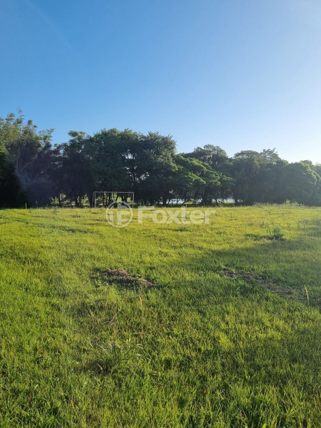 sitio chachara fazenda para comprar em Quatro de maio, 888 - foto 33