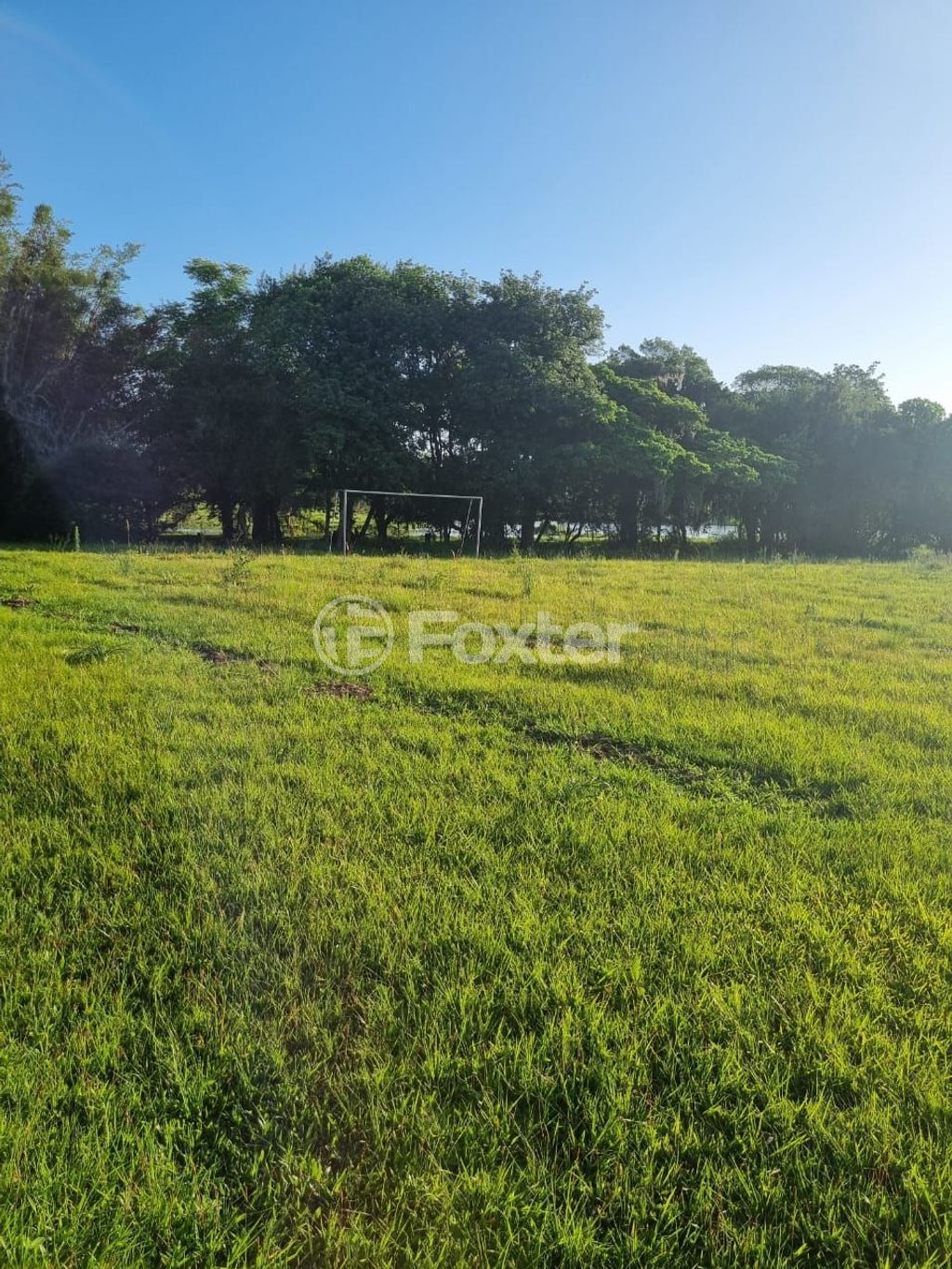 sitio chachara fazenda para comprar em Quatro de maio, 888 - foto 44