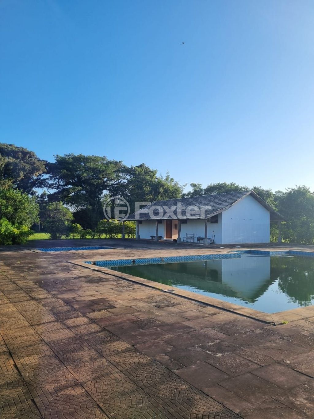 sitio chachara fazenda para comprar em Quatro de maio, 888 - foto 15