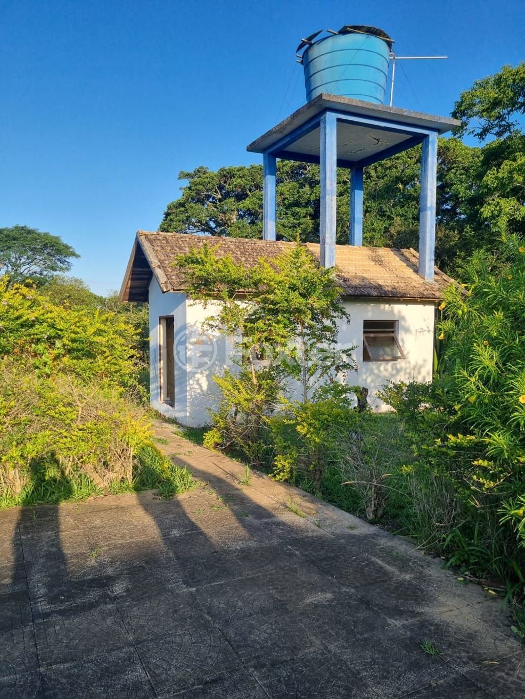 sitio chachara fazenda para comprar em Quatro de maio, 888 - foto 47