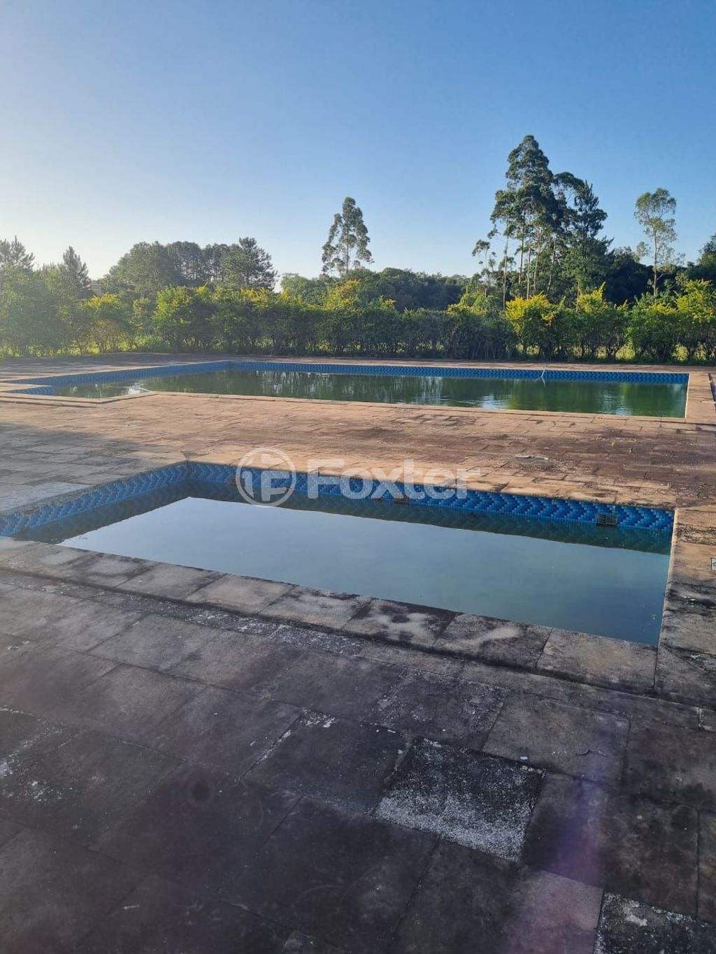 sitio chachara fazenda para comprar em Quatro de maio, 888 - foto 14