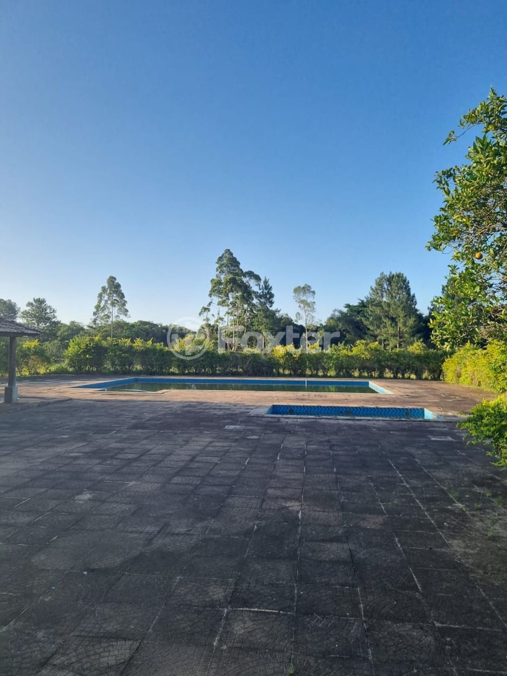 sitio chachara fazenda para comprar em Quatro de maio, 888 - foto 10