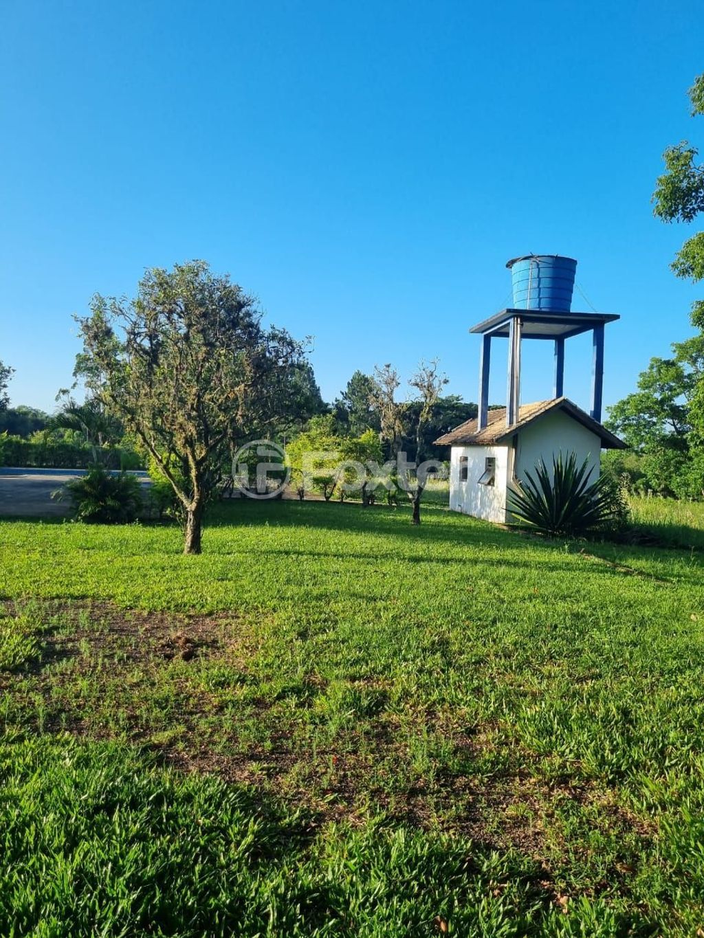 sitio chachara fazenda para comprar em Quatro de maio, 888 - foto 49