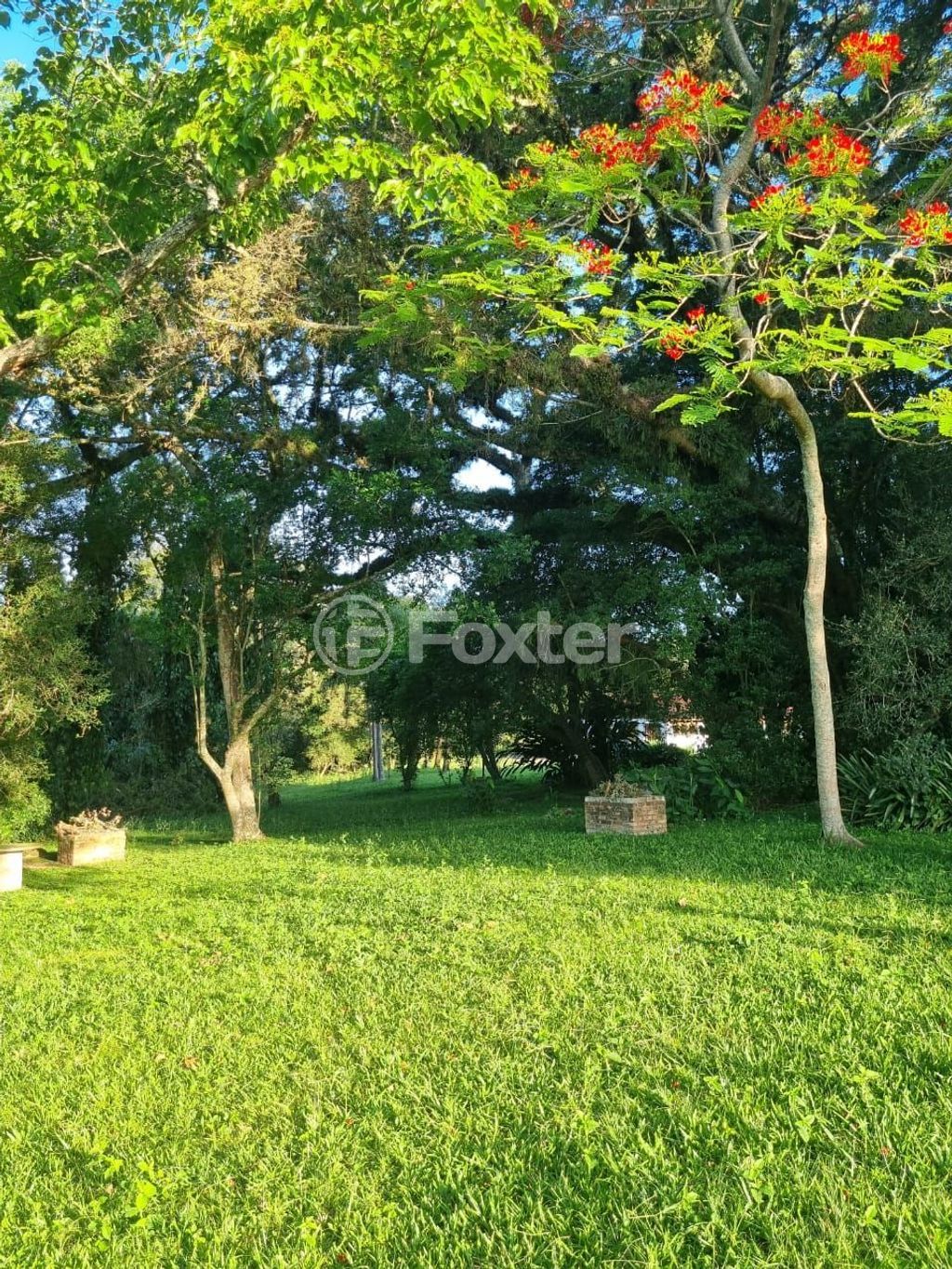 sitio chachara fazenda para comprar em Quatro de maio, 888 - foto 68