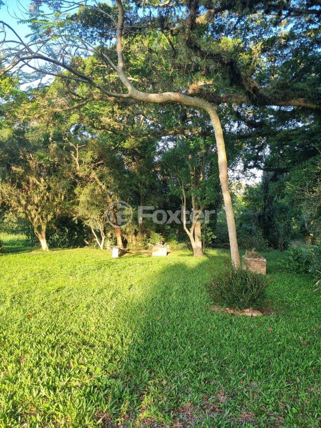 sitio chachara fazenda para comprar em Quatro de maio, 888 - foto 69