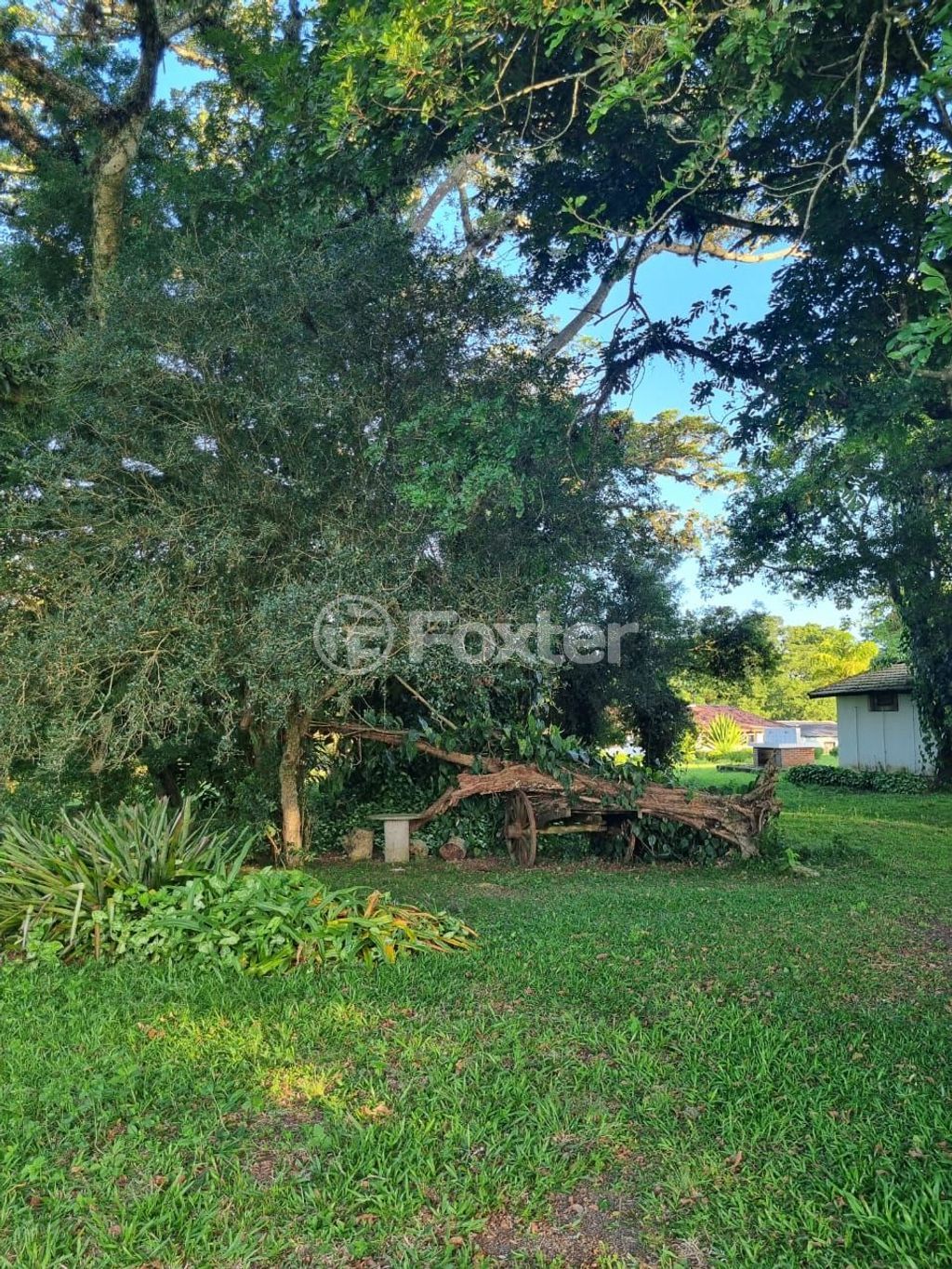 sitio chachara fazenda para comprar em Quatro de maio, 888 - foto 63