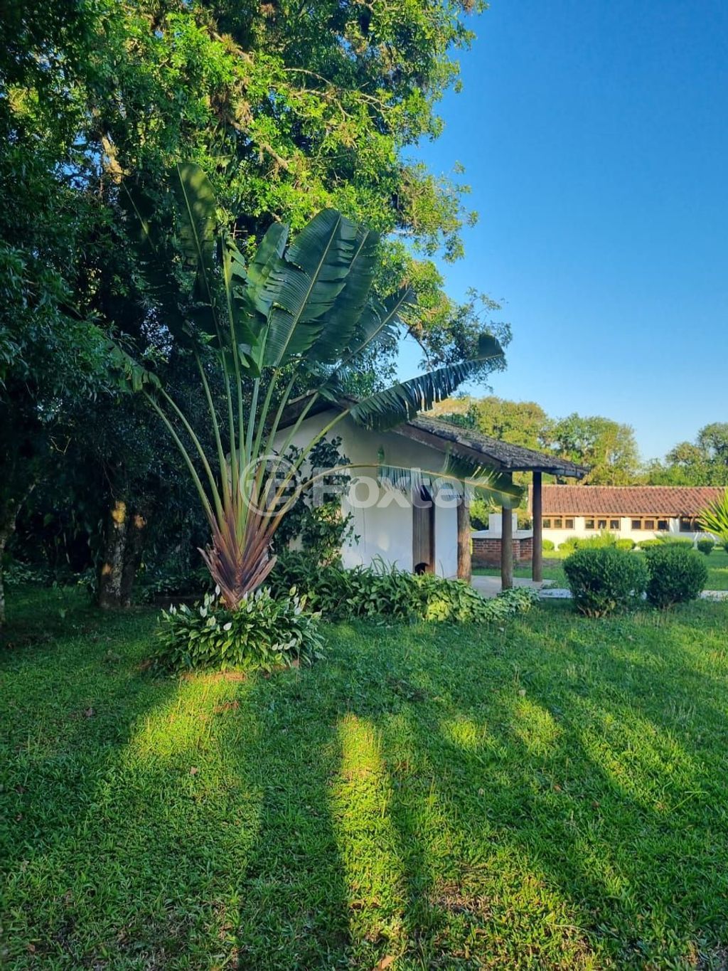 sitio chachara fazenda para comprar em Quatro de maio, 888 - foto 55
