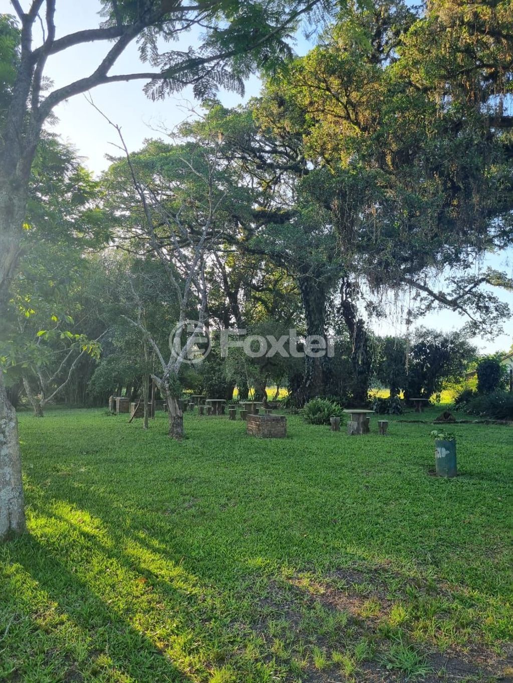 sitio chachara fazenda para comprar em Quatro de maio, 888 - foto 57