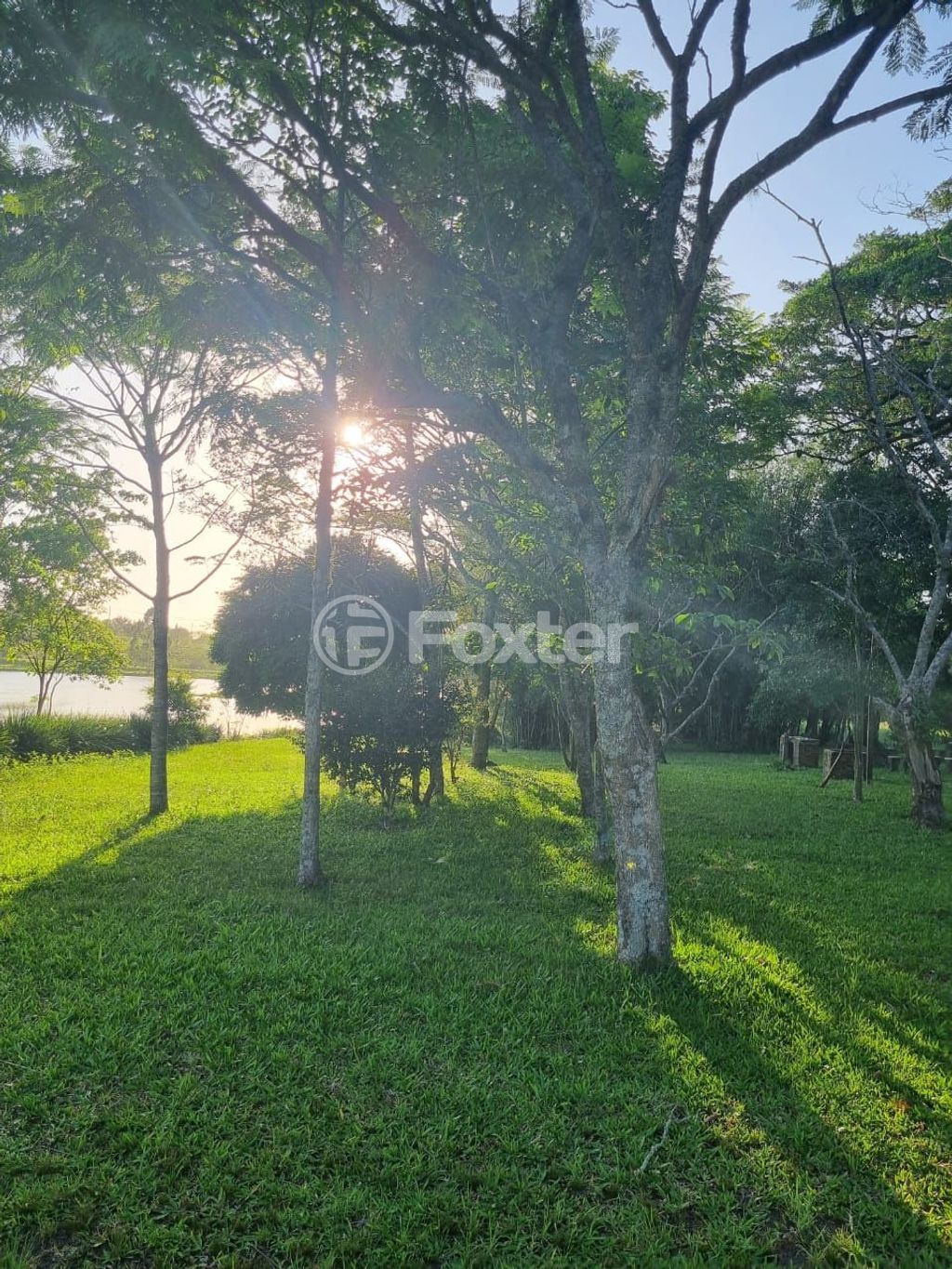 sitio chachara fazenda para comprar em Quatro de maio, 888 - foto 53