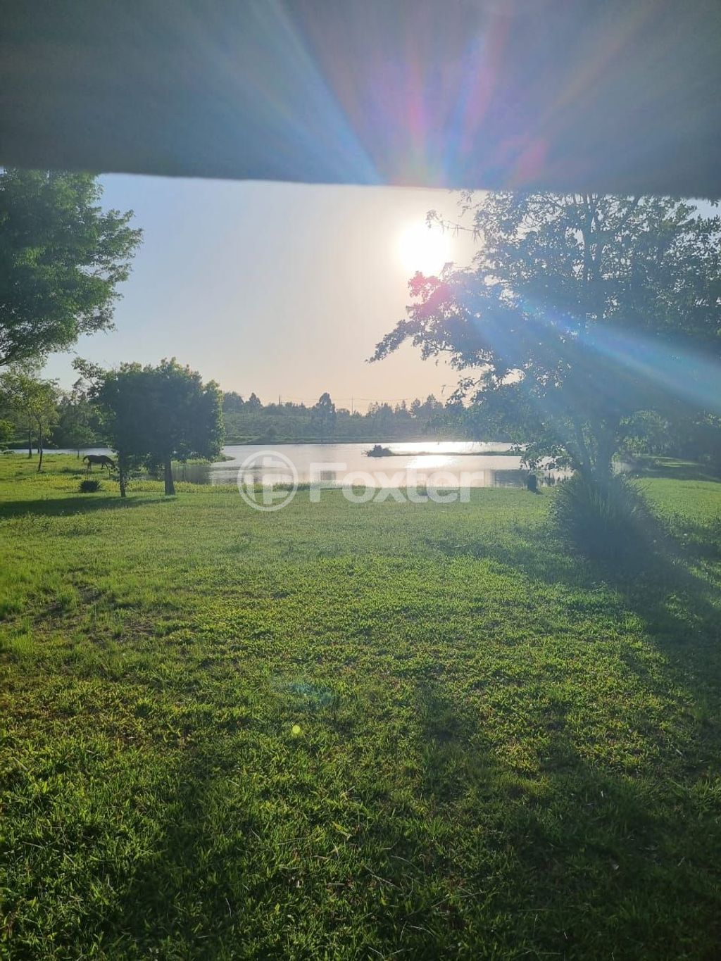 sitio chachara fazenda para comprar em Quatro de maio, 888 - foto 28