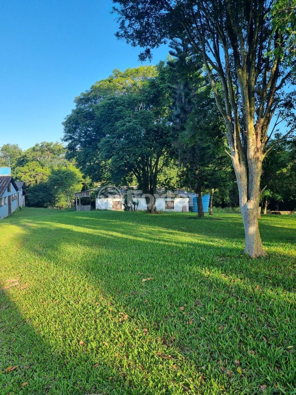 sitio chachara fazenda para comprar em Quatro de maio, 888 - foto 58