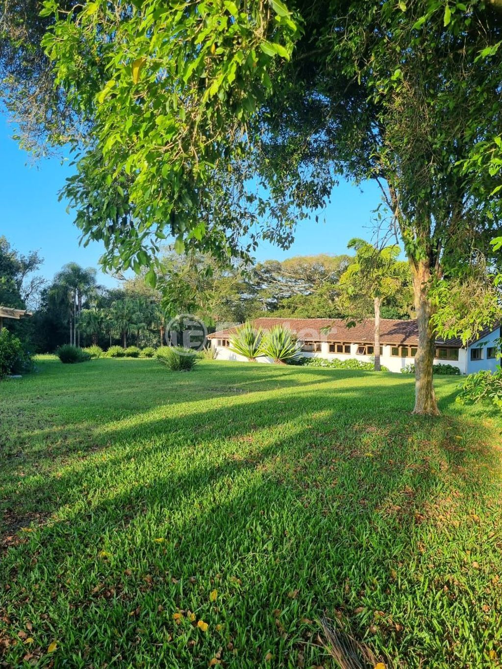 sitio chachara fazenda para comprar em Quatro de maio, 888 - foto 70