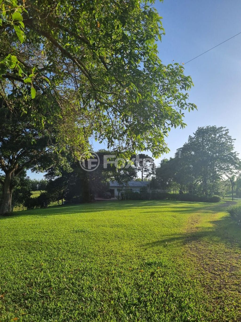 sitio chachara fazenda para comprar em Quatro de maio, 888 - foto 59