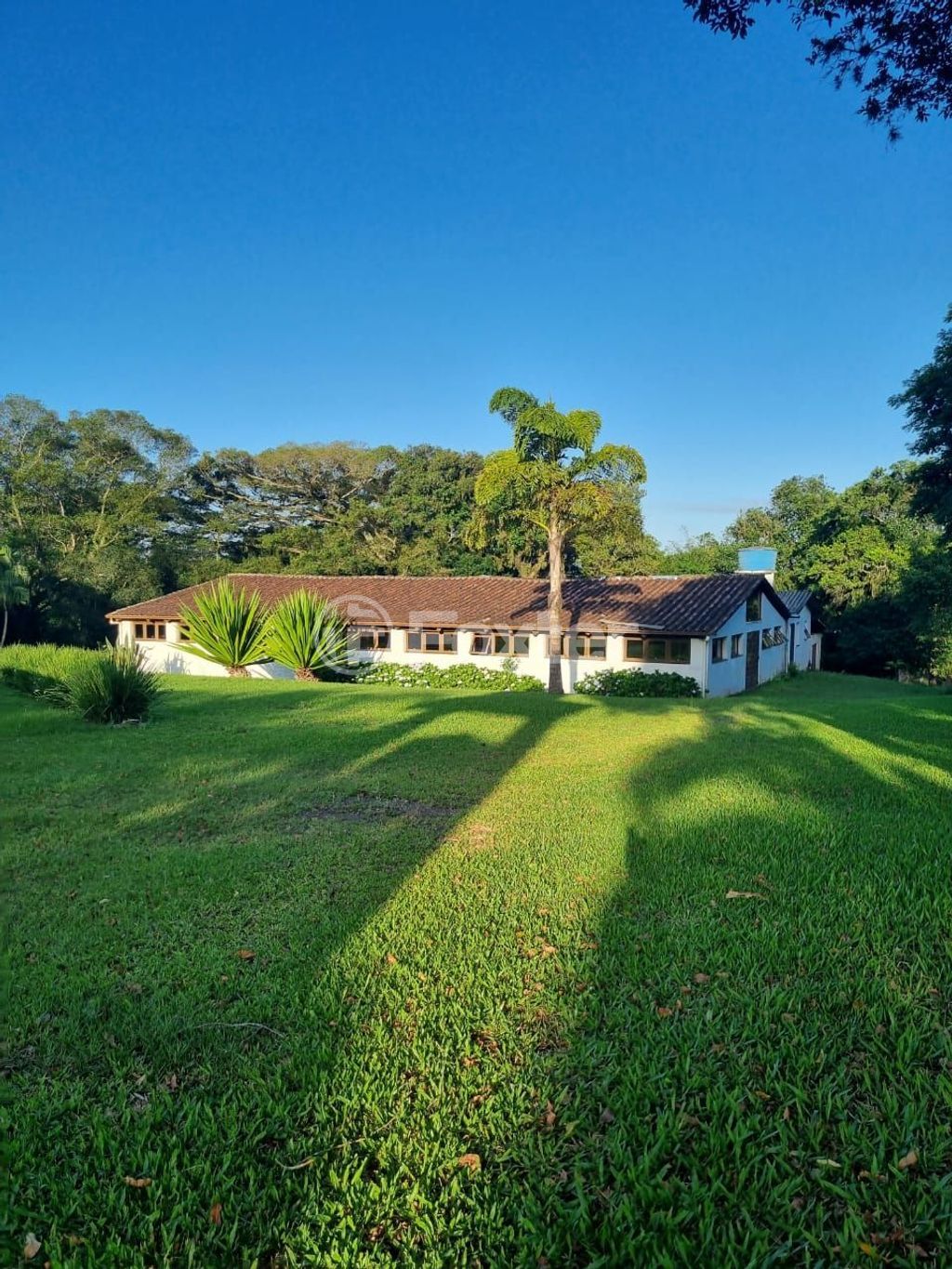 sitio chachara fazenda para comprar em Quatro de maio, 888 - foto 39