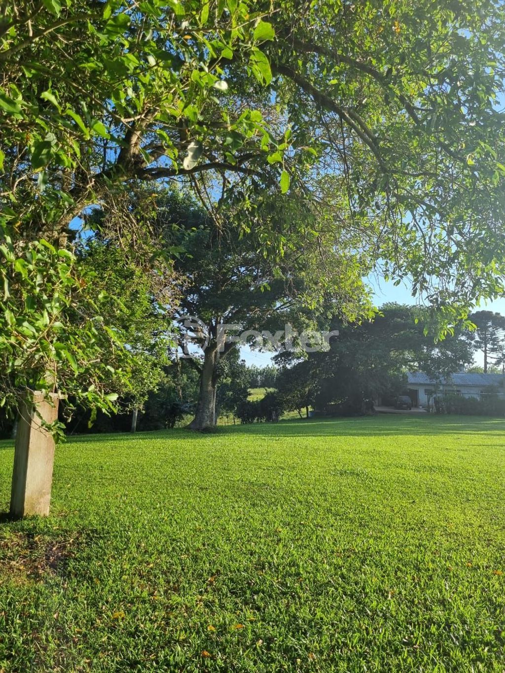 sitio chachara fazenda para comprar em Quatro de maio, 888 - foto 64