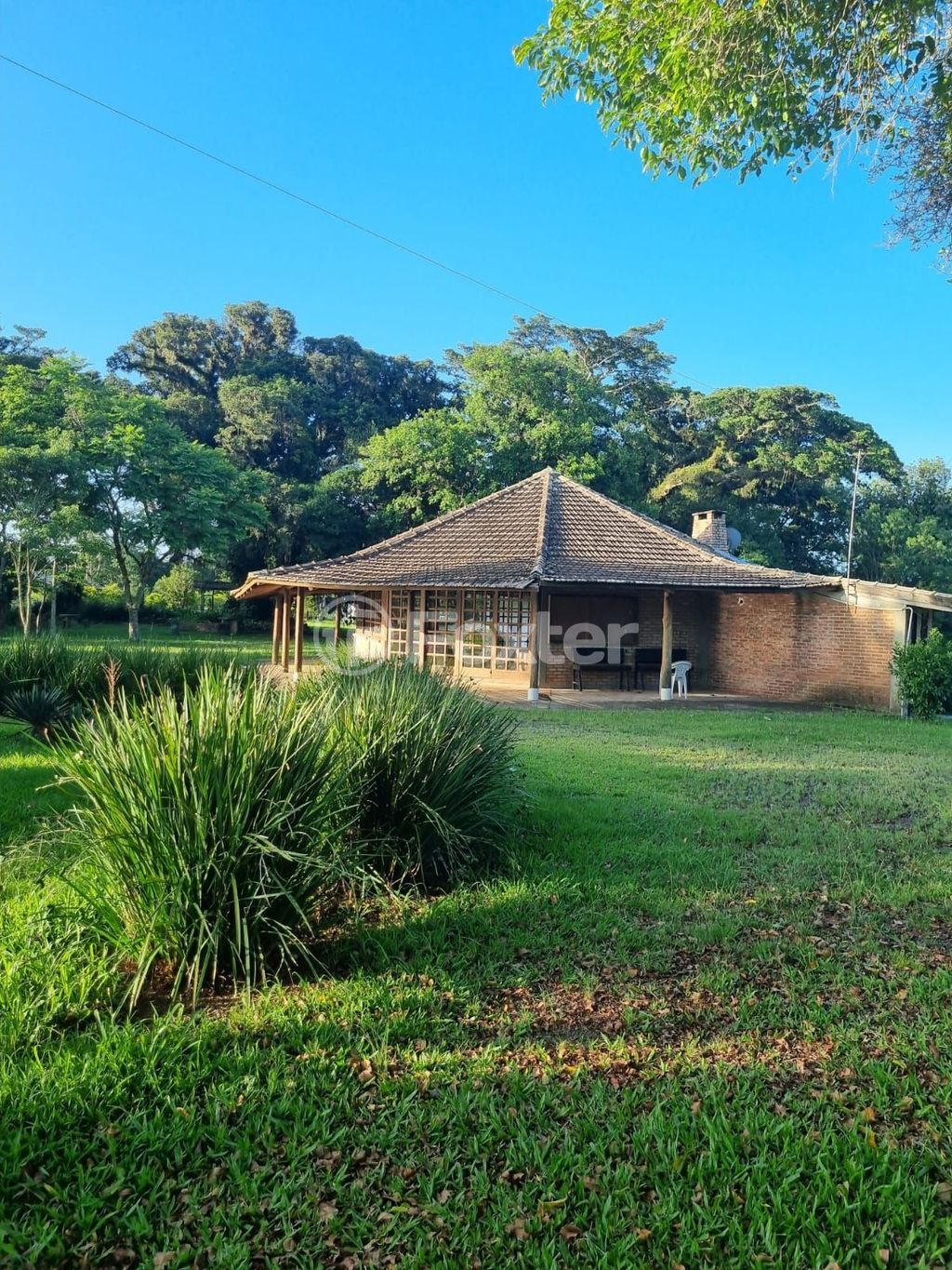 sitio chachara fazenda para comprar em Quatro de maio, 888 - foto 72