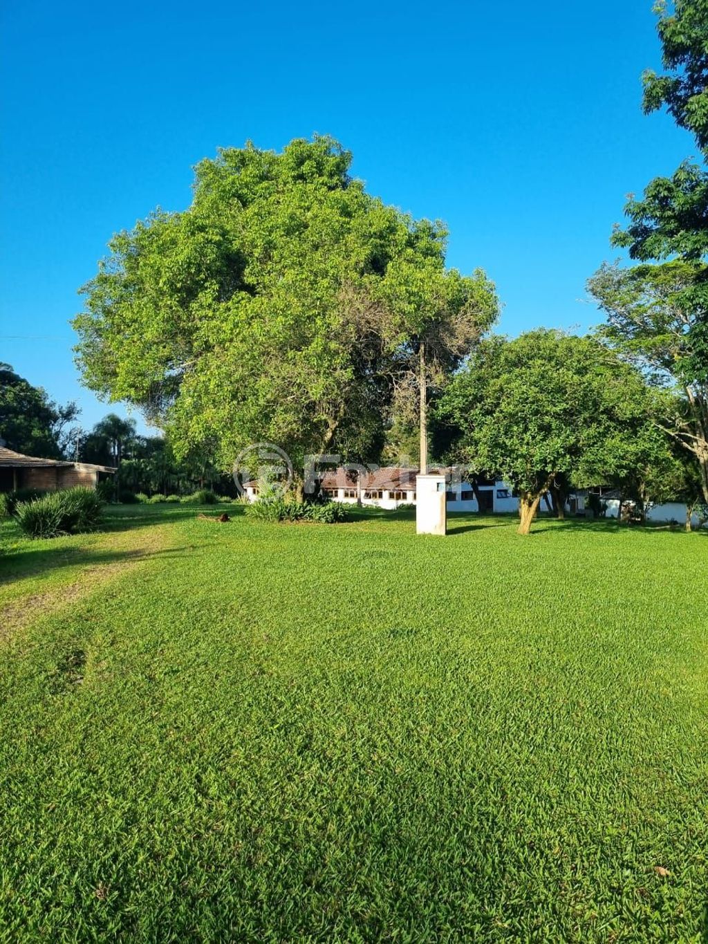 sitio chachara fazenda para comprar em Quatro de maio, 888 - foto 62