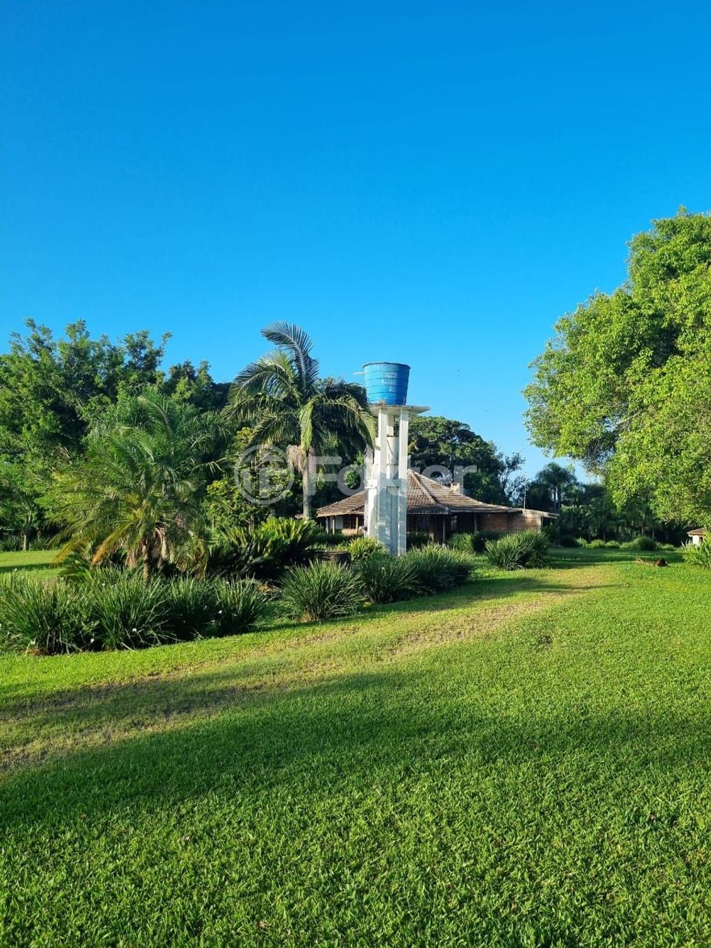 sitio chachara fazenda para comprar em Quatro de maio, 888 - foto 48