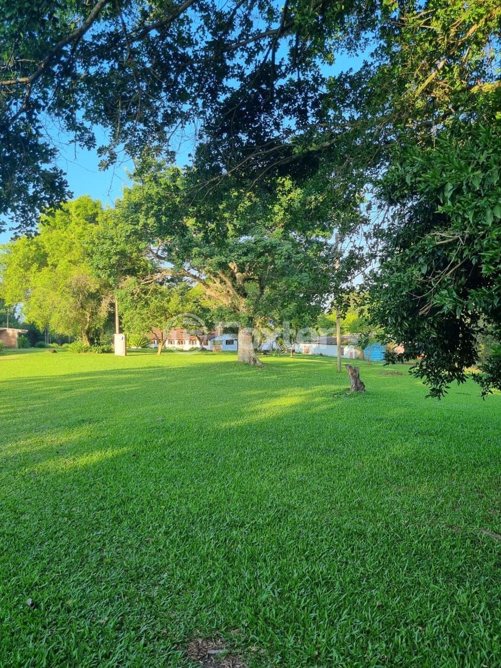 sitio chachara fazenda para comprar em Quatro de maio, 888 - foto 65