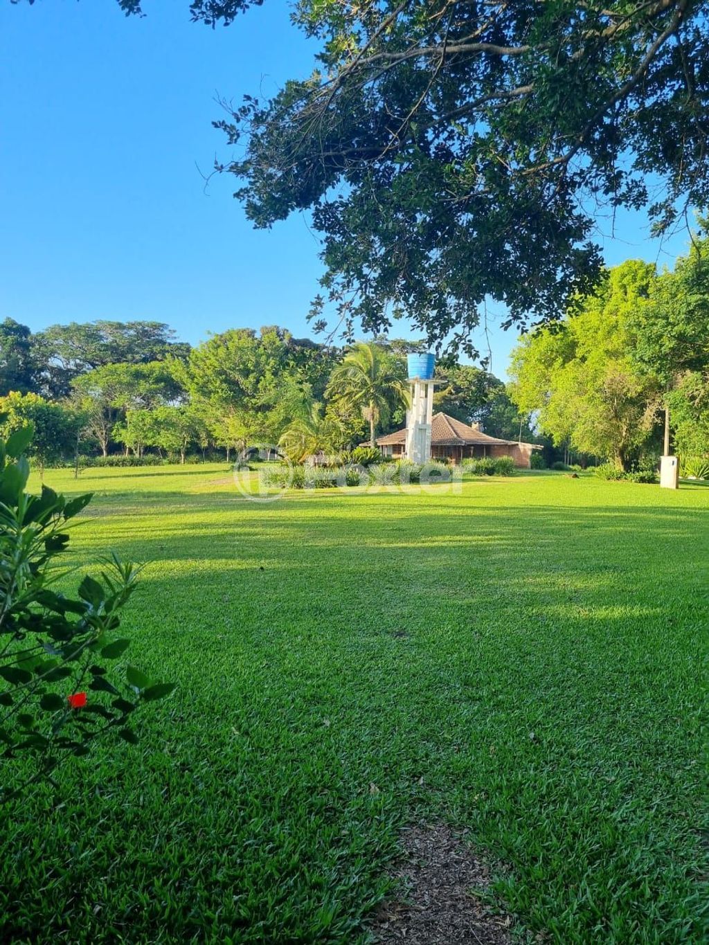 sitio chachara fazenda para comprar em Quatro de maio, 888 - foto 60