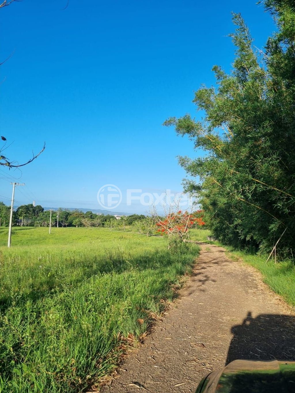 sitio chachara fazenda para comprar em Quatro de maio, 888 - foto 42