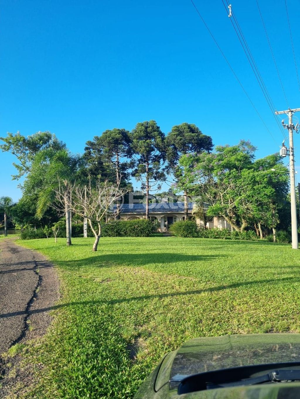 sitio chachara fazenda para comprar em Quatro de maio, 888 - foto 50