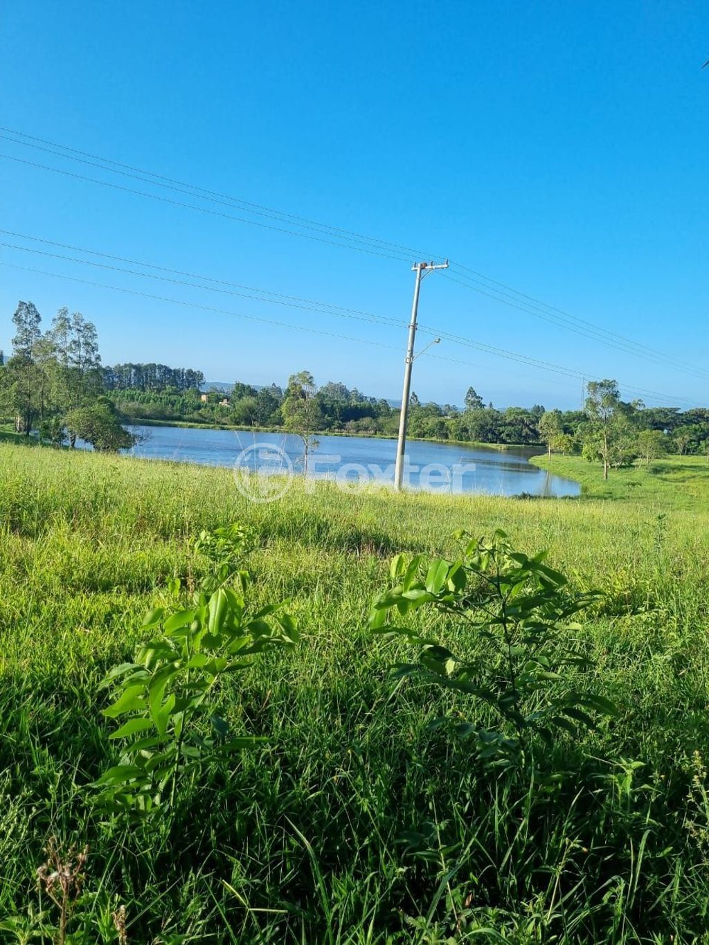 sitio chachara fazenda para comprar em Quatro de maio, 888 - foto 40