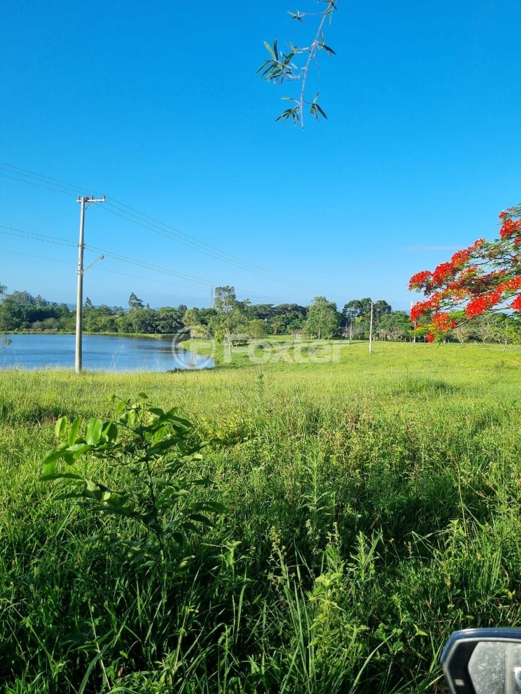 sitio chachara fazenda para comprar em Quatro de maio, 888 - foto 34