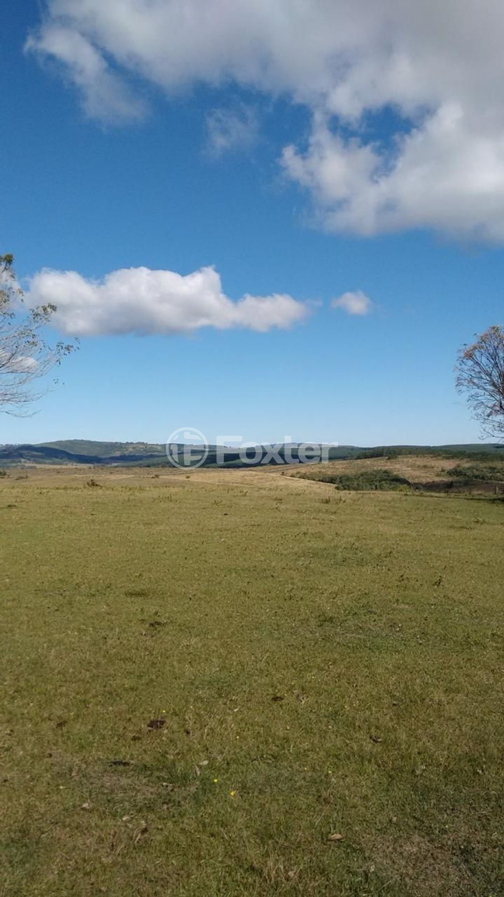 sitio chachara fazenda para comprar em Agronomia, 5600 - foto 8