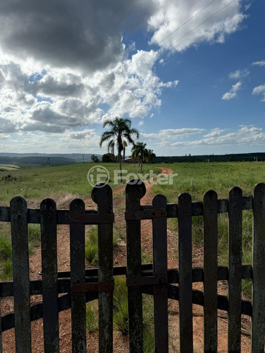 sitio chachara fazenda para comprar em Agronomia, 5600 - foto 15