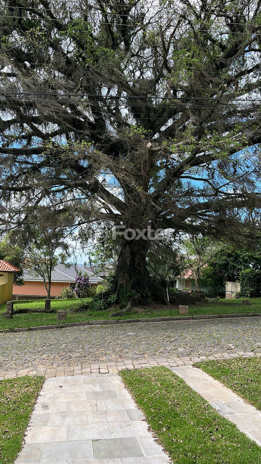 Casa em condominio para comprar em Ponta Porã, 301 - foto 42