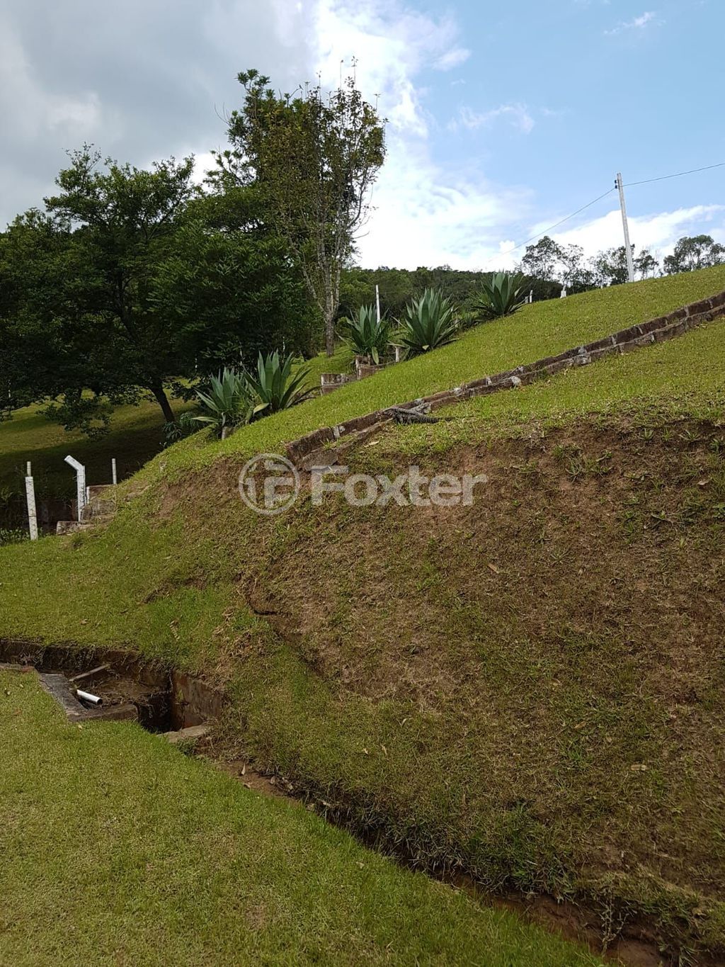sitio chachara fazenda para comprar em Pedreira Itacolomi, 1285 - foto 32