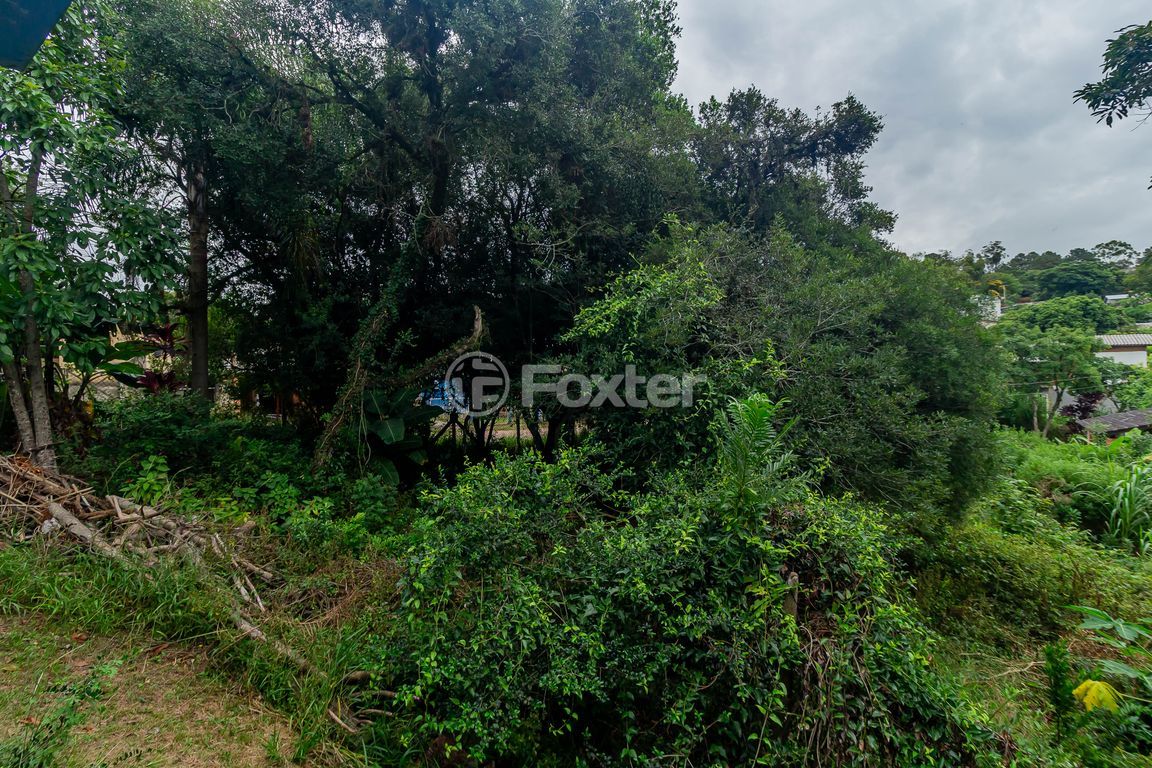 casa sobrado para comprar em Telmo Godoy Pinto, 479 - foto 8