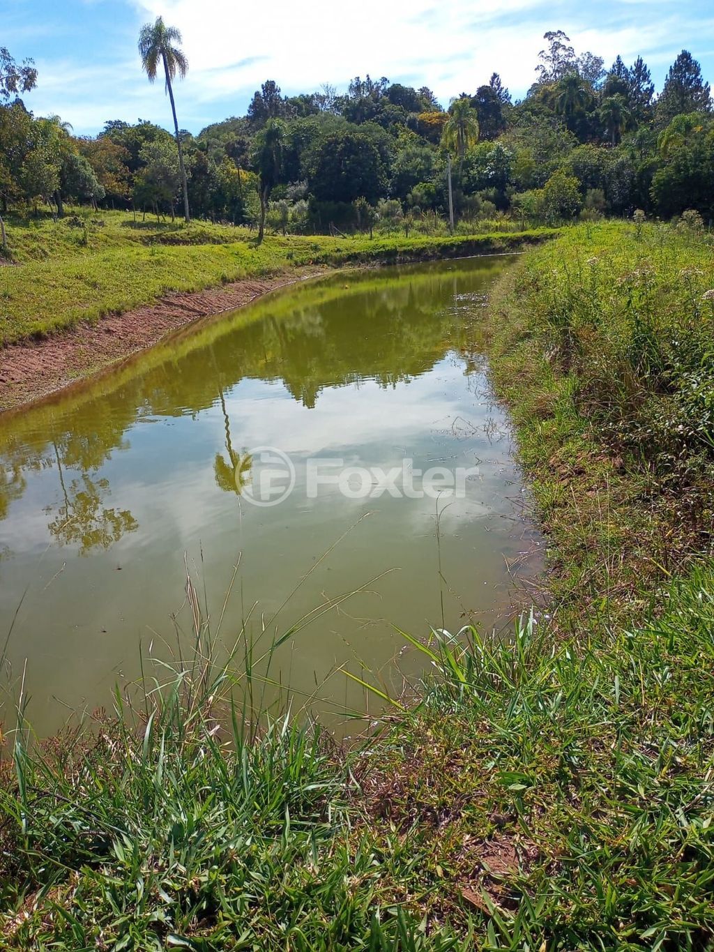 sitio chachara fazenda para comprar em Padre Réus, 93 - foto 48