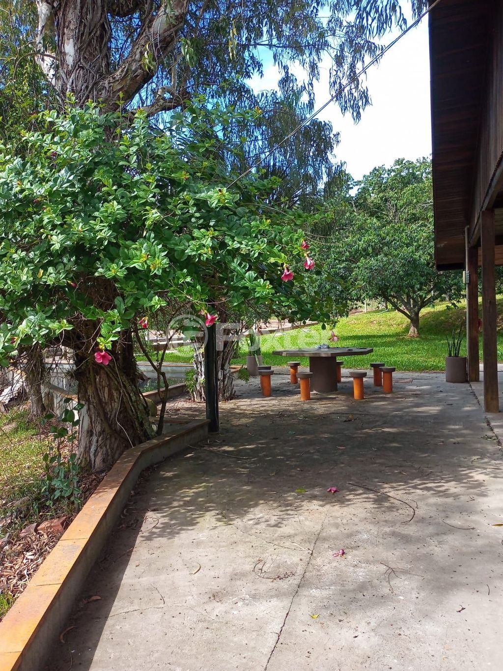 sitio chachara fazenda para comprar em Padre Réus, 93 - foto 45