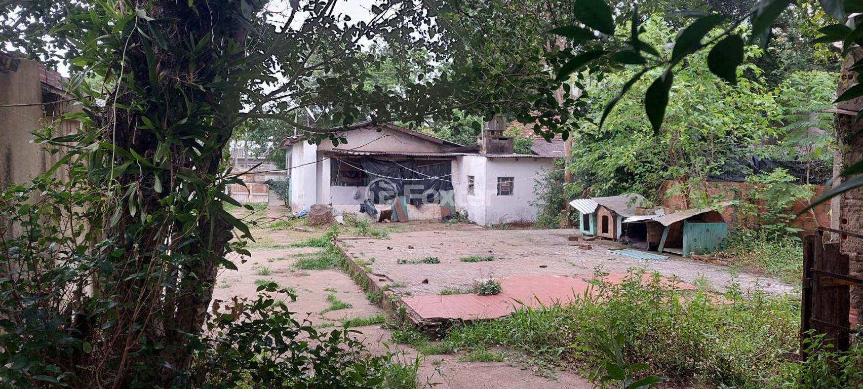 terreno lote condominio para comprar em José Bonifácio, 478 - foto 6