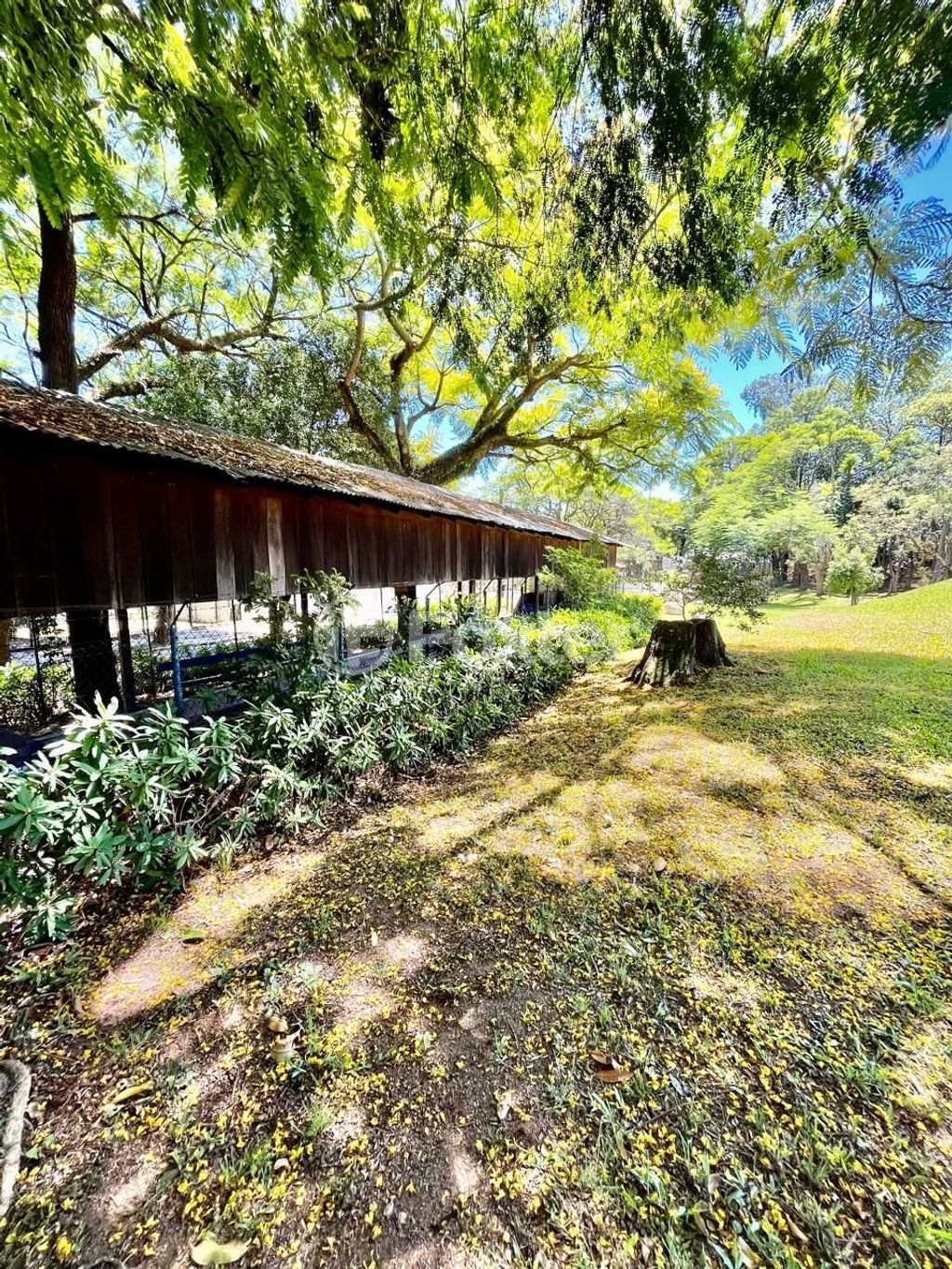 casa sobrado para comprar em das Rosas, 357 - foto 12
