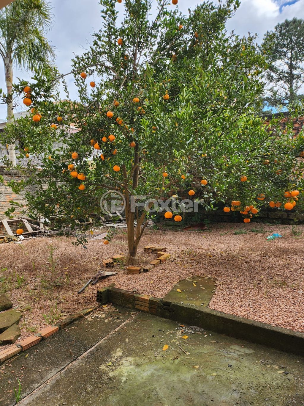casa sobrado para comprar em Sol Nascente, 65 - foto 40
