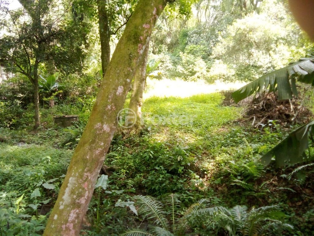casa sobrado para comprar em RS-020, 12370 - foto 13