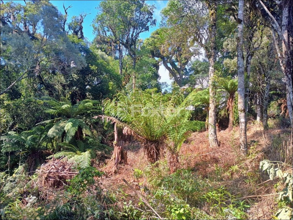 Foto do Anuncio