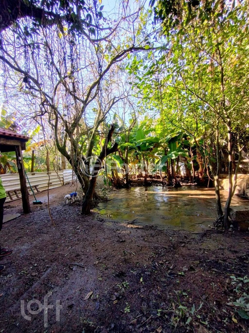 Casa em condominio para comprar em Dorival Castilhos Machado, 890 - foto 20