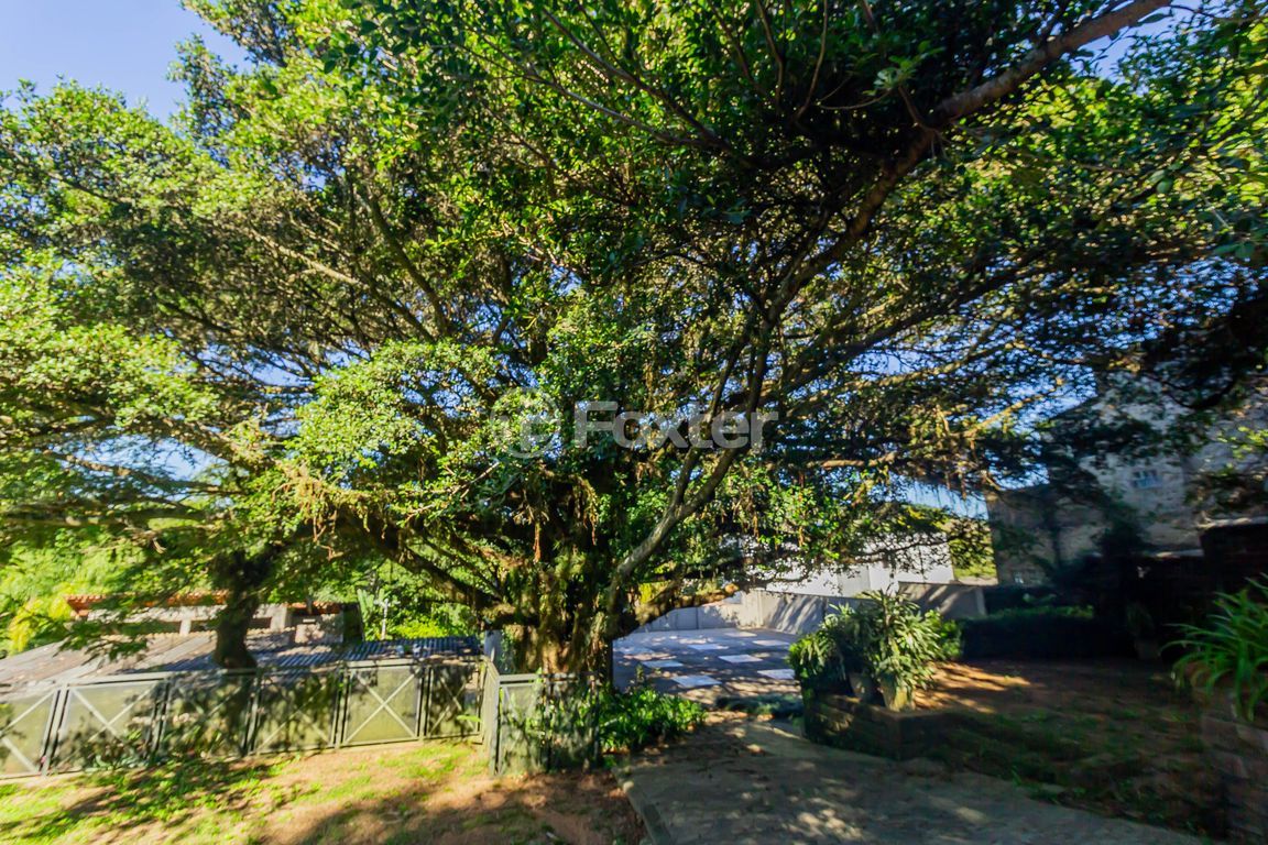 sitio chachara fazenda para comprar em das Furnas, 303 - foto 32