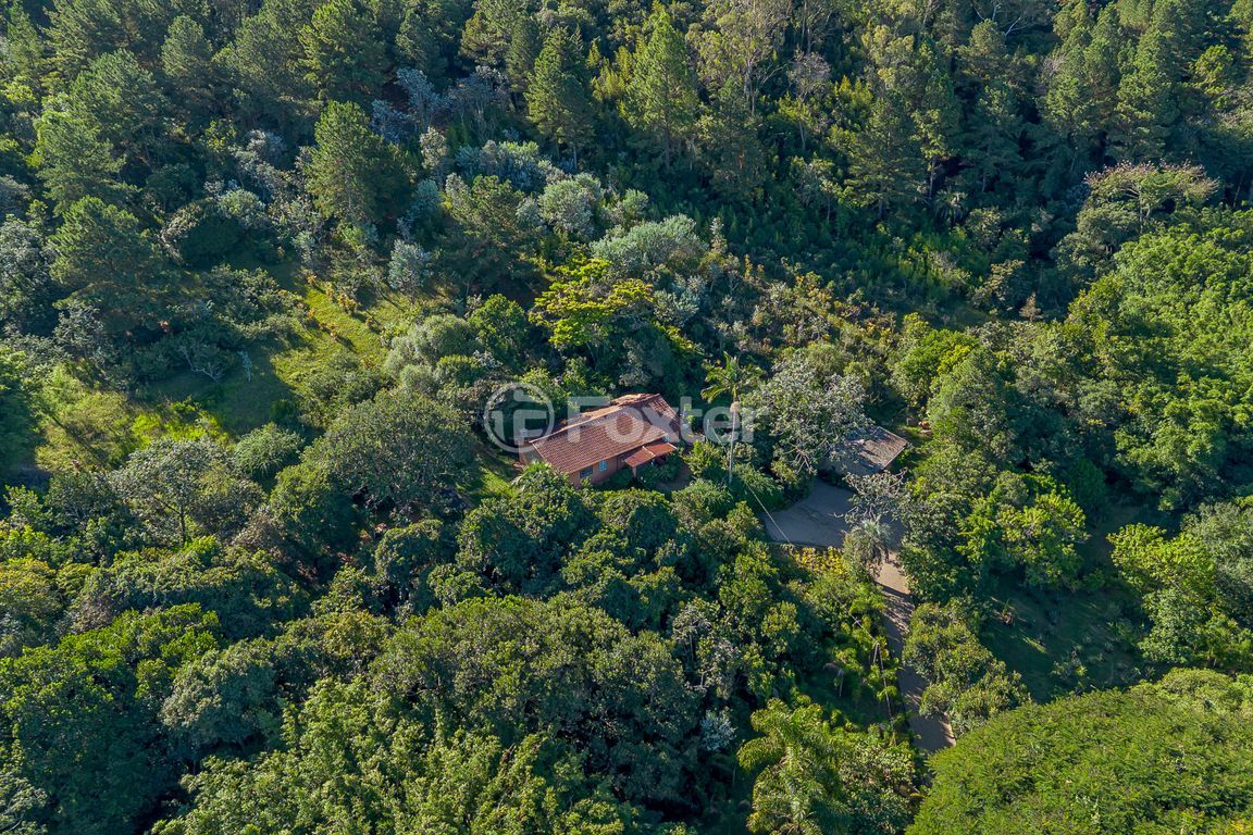 sitio chachara fazenda para comprar em das Furnas, 303 - foto 48