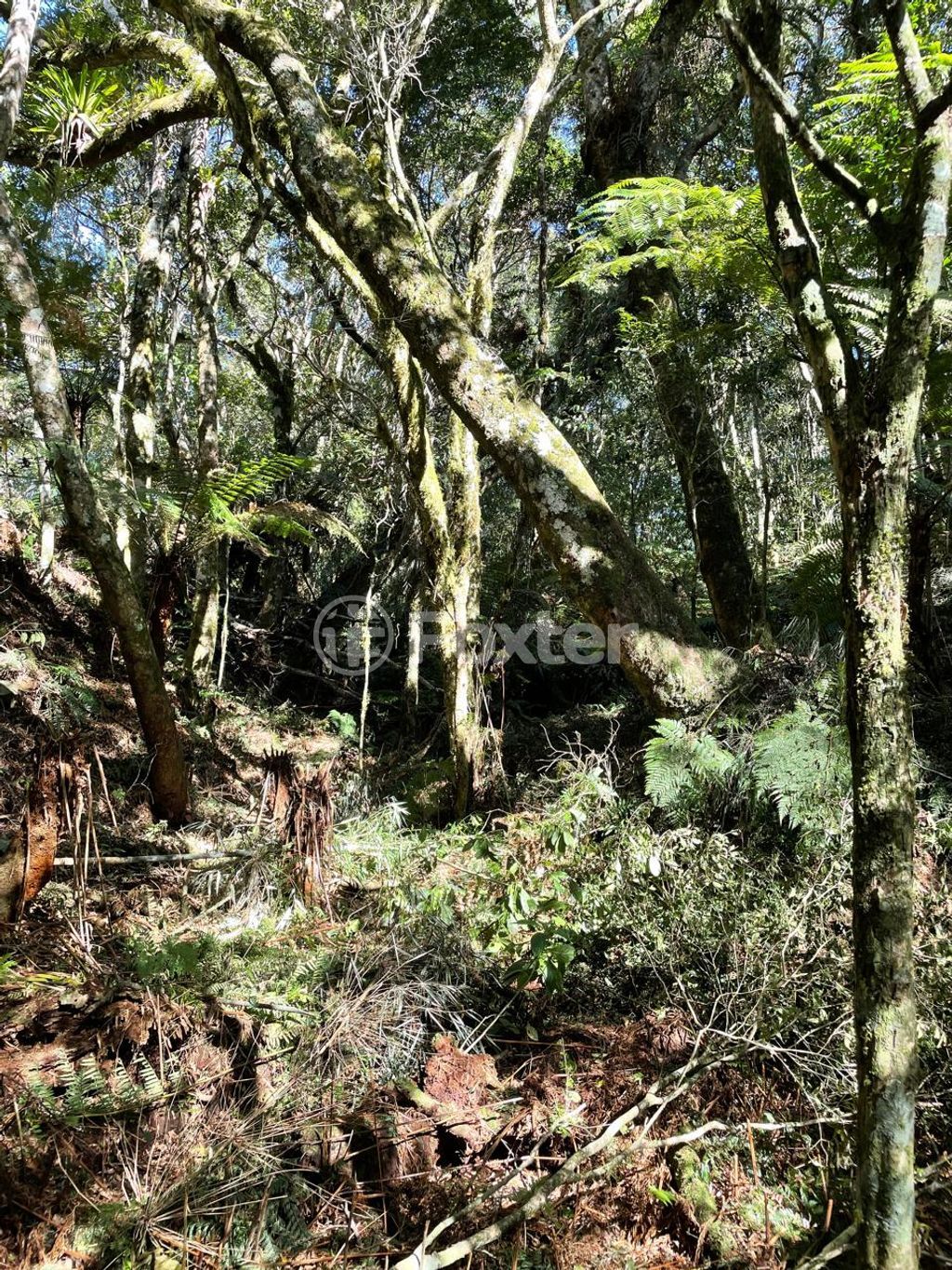 terreno lote condominio para comprar em Dos Lirios, 1 - foto 7