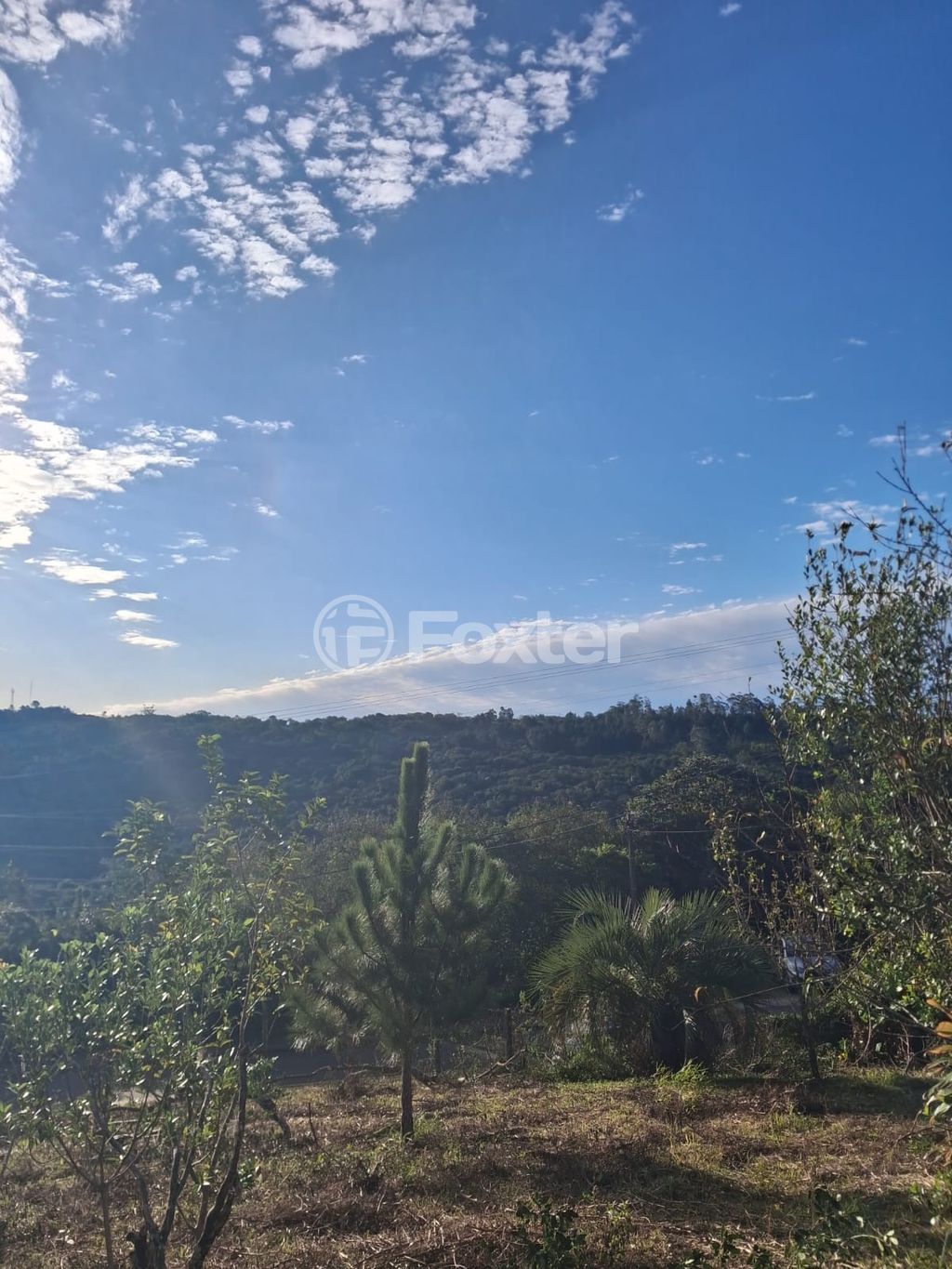 terreno lote condominio para comprar em das Furnas, 1501 - foto 10
