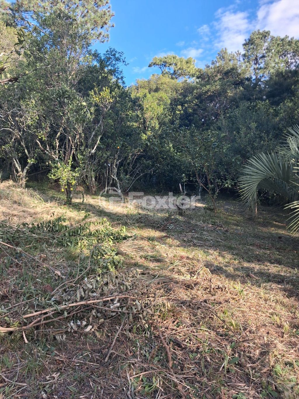 terreno lote condominio para comprar em das Furnas, 1501 - foto 11