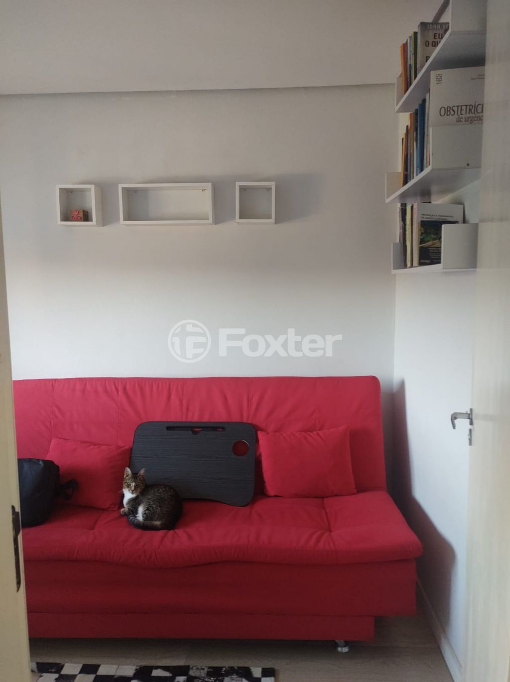 Foto 1